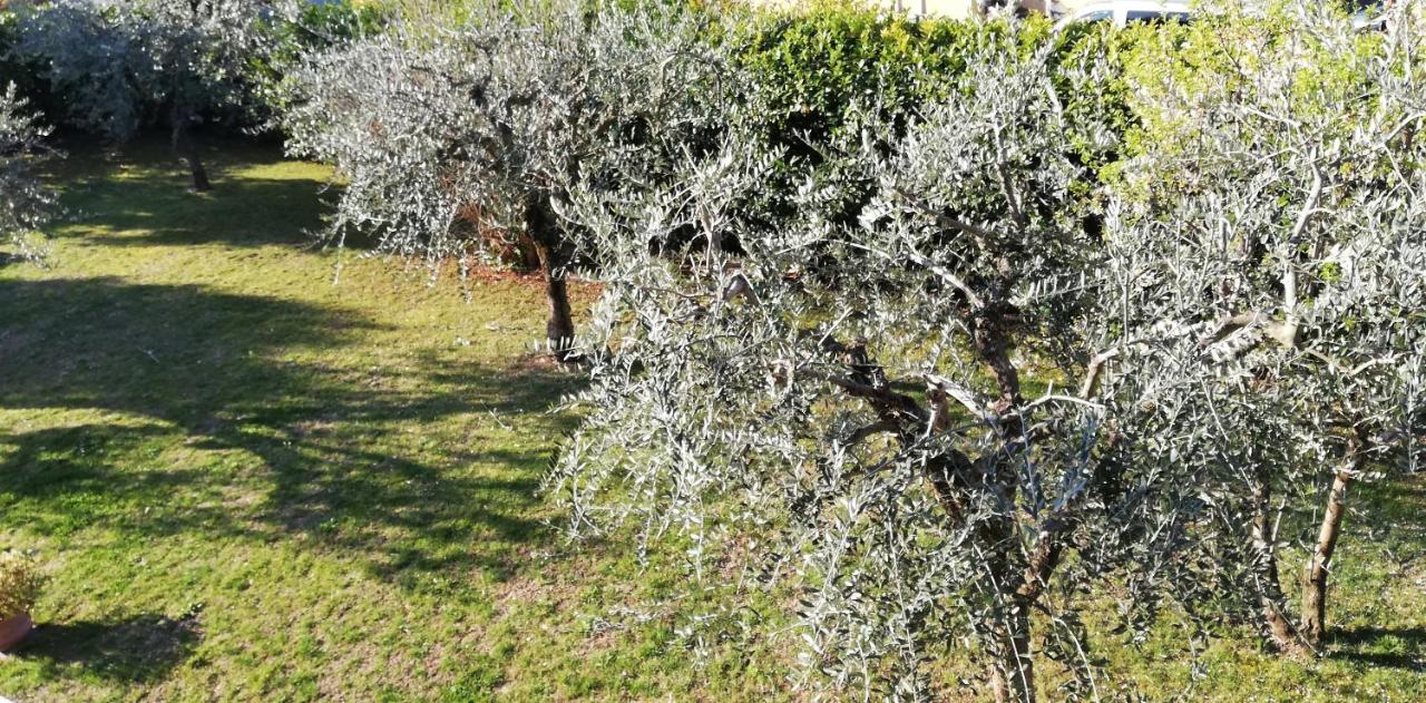 Il Melograno Bed & Breakfast Garda  Exterior foto